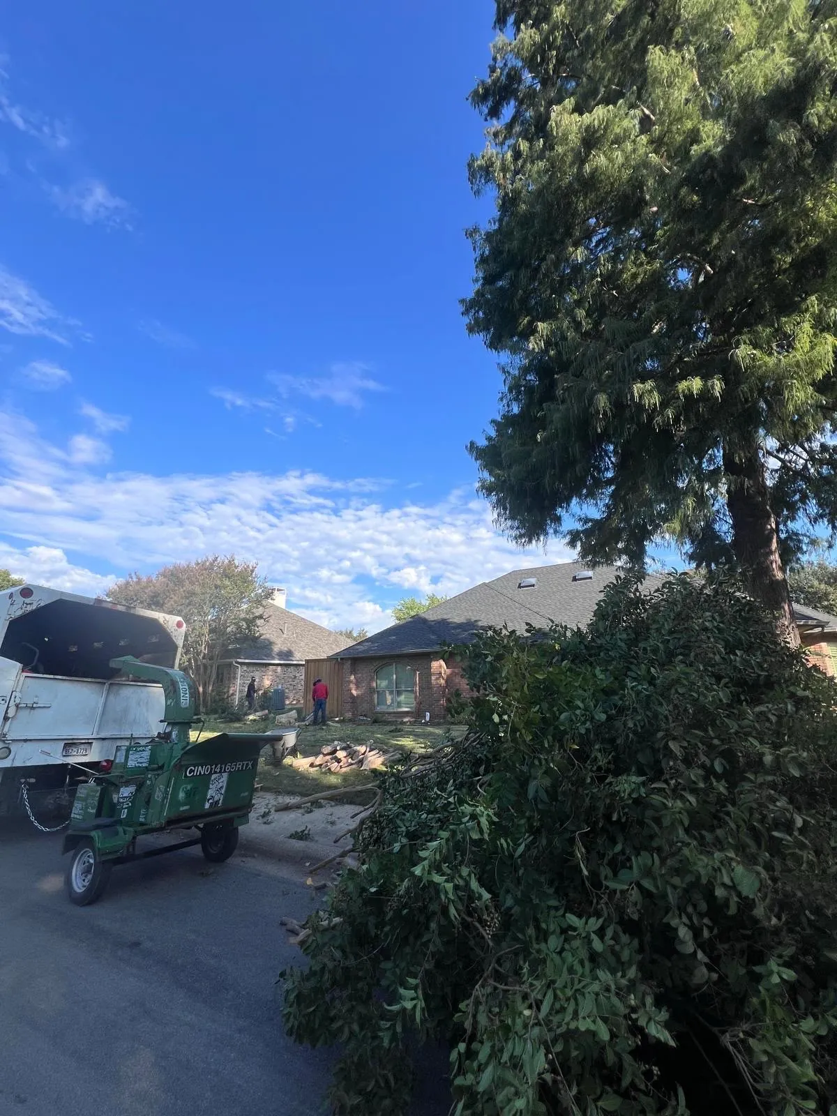Tree debris cleanup at a residential property