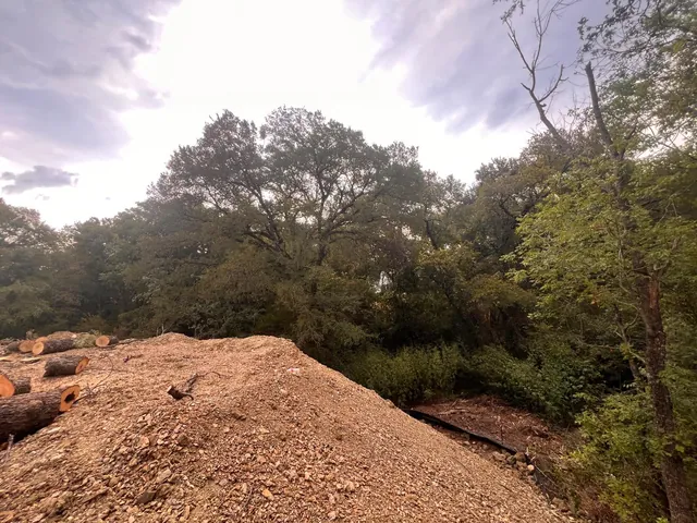 Lot Clearing — work photo 1