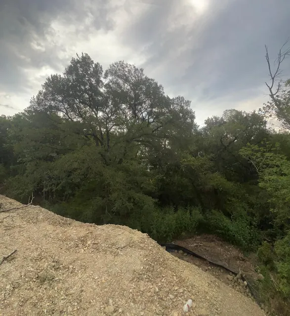 Lot Clearing — work photo 2