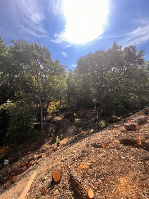 Lot Clearing — work photo 4