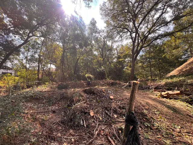 Lot Clearing — work photo 5