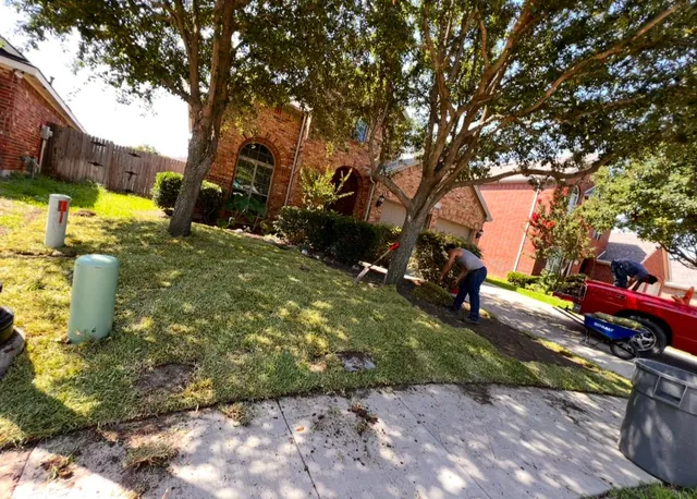 Grass / Sod Installation — work photo 4
