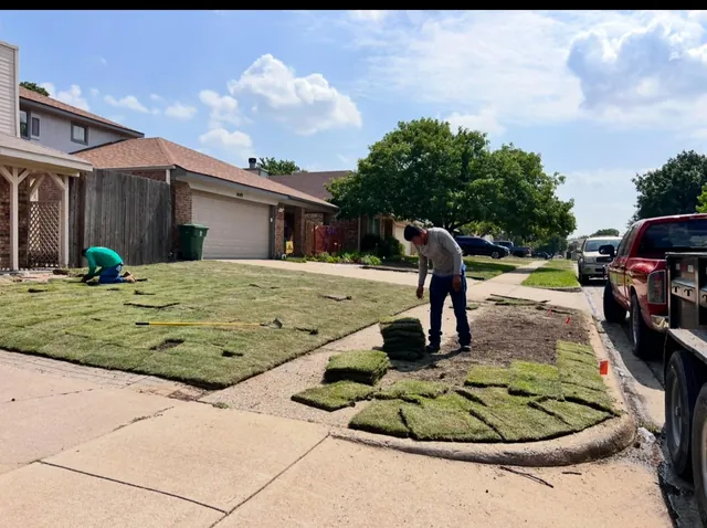 Grass / Sod Installation — work photo 5