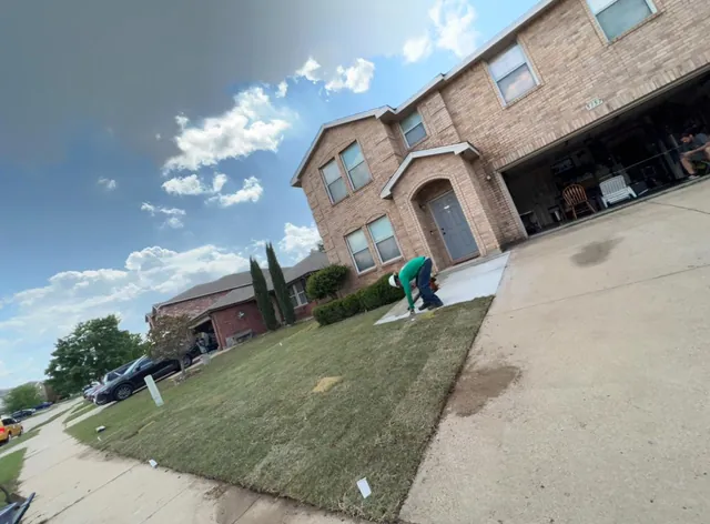Grass / Sod Installation — work photo 6