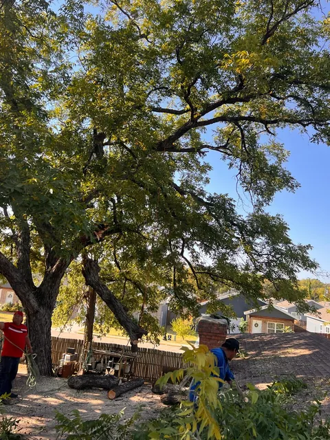 Storm Damage Cleanup — work photo 6
