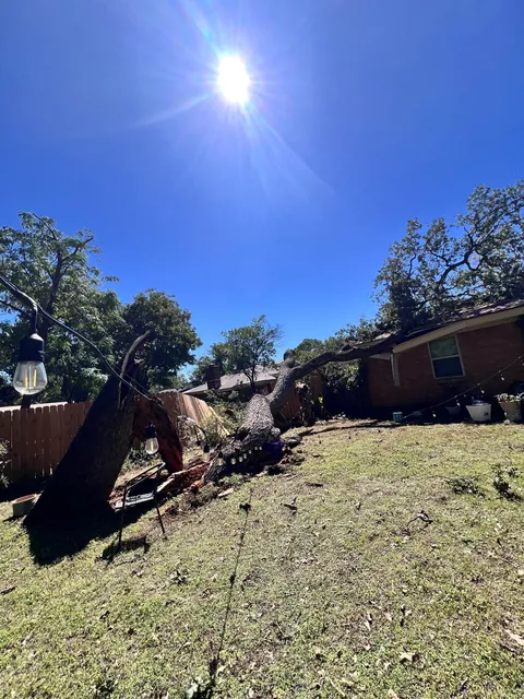 Storm Damage Cleanup — work photo 10