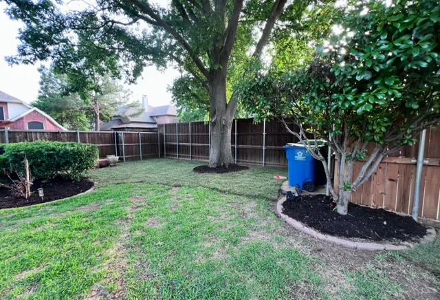 Tree Planting — work photo 2