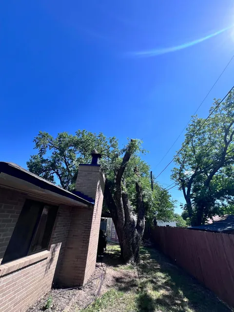 Desmoche y evaluación de altura — foto del trabajo 1