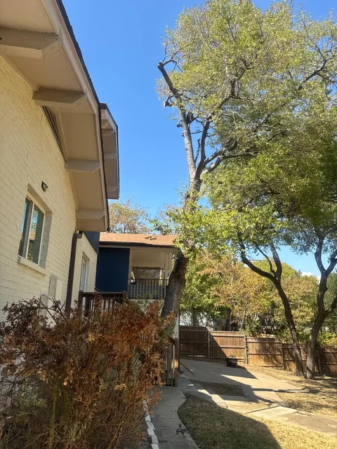 Tree Trimming & Pruning — work photo 14